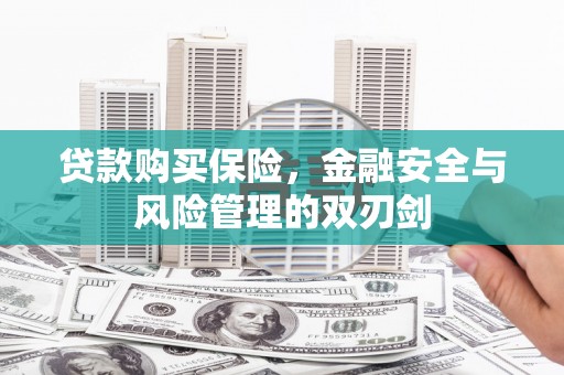红星贷款购买保险，金融安全与风险管理的双刃剑