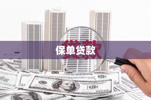 红星保单贷款