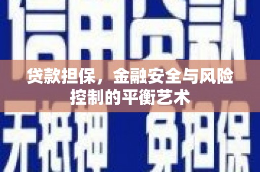 红星贷款担保，金融安全与风险控制的平衡艺术