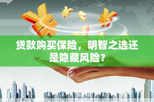 红星贷款购买保险，明智之选还是隐藏风险？