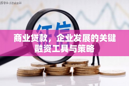 红星商业贷款，企业发展的关键融资工具与策略