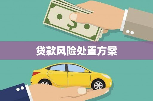 红星贷款风险处置方案