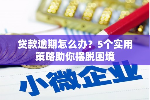 红星贷款逾期怎么办？5个实用策略助你摆脱困境