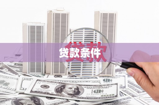 红星贷款条件