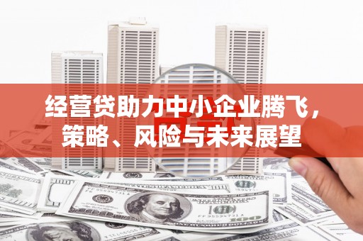红星经营贷助力中小企业腾飞，策略、风险与未来展望
