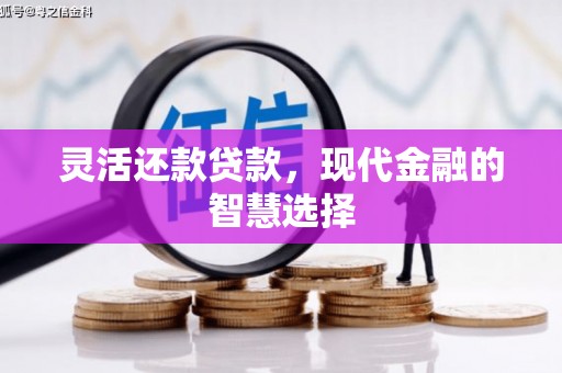 红星灵活还款贷款，现代金融的智慧选择