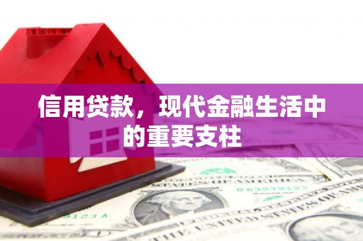 红星信用贷款，现代金融生活中的重要支柱