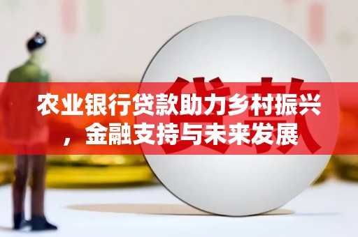 红星农业银行贷款助力乡村振兴，金融支持与未来发展