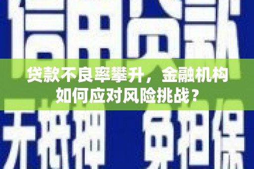 红星贷款不良率攀升，金融机构如何应对风险挑战？