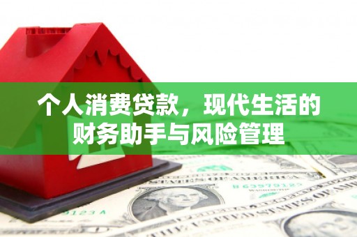 红星个人消费贷款，现代生活的财务助手与风险管理