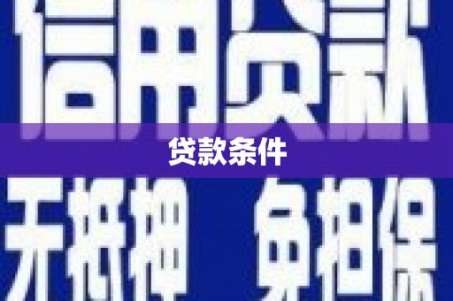 红星贷款条件