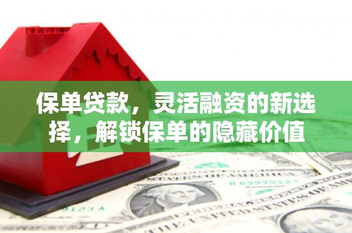 红星保单贷款，灵活融资的新选择，解锁保单的隐藏价值