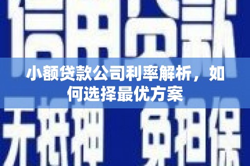 红星小额贷款公司利率解析，如何选择最优方案