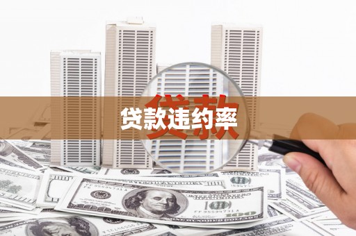 红星贷款违约率