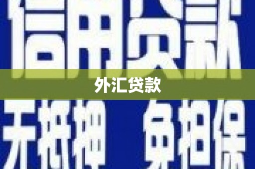红星外汇贷款