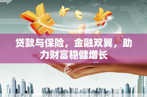 红星贷款与保险，金融双翼，助力财富稳健增长