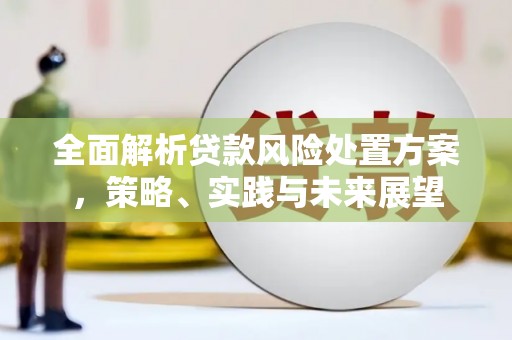 红星全面解析贷款风险处置方案，策略、实践与未来展望