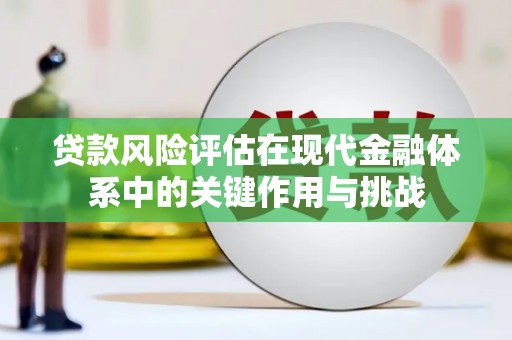 红星贷款风险评估在现代金融体系中的关键作用与挑战