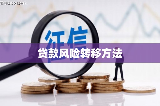 红星贷款风险转移方法