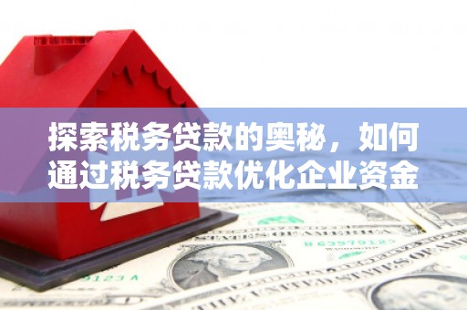 红星探索税务贷款的奥秘，如何通过税务贷款优化企业资金流