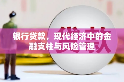 红星银行贷款，现代经济中的金融支柱与风险管理