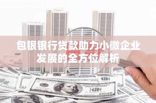 红星包银银行贷款助力小微企业发展的全方位解析