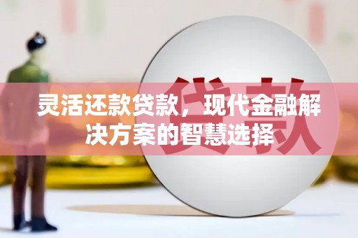 红星灵活还款贷款，现代金融解决方案的智慧选择