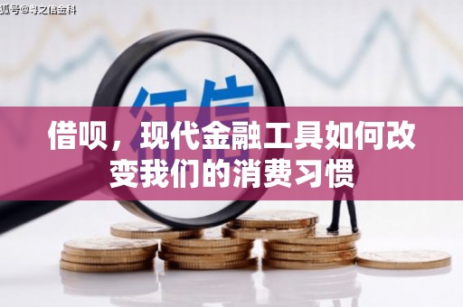 红星借呗，现代金融工具如何改变我们的消费习惯