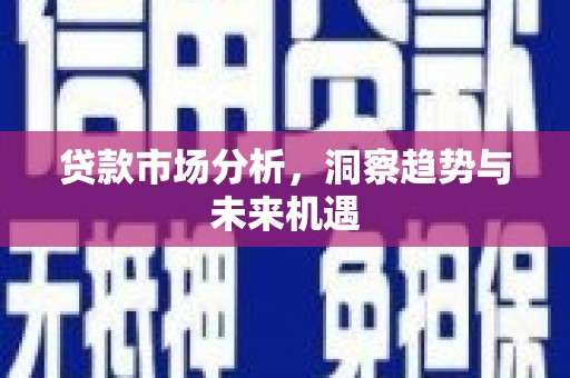 红星贷款市场分析，洞察趋势与未来机遇