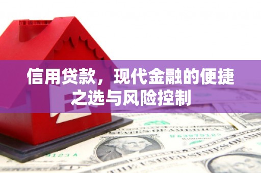 红星信用贷款，现代金融的便捷之选与风险控制