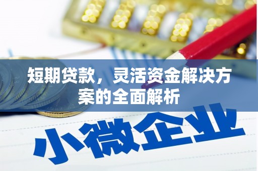 红星短期贷款，灵活资金解决方案的全面解析