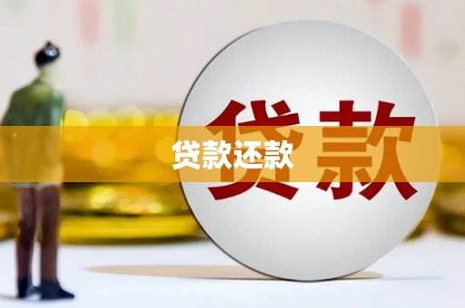 红星贷款还款