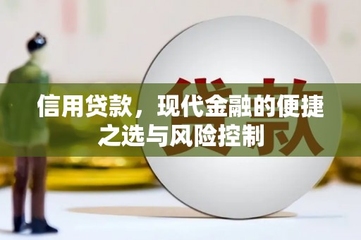 红星信用贷款，现代金融的便捷之选与风险控制