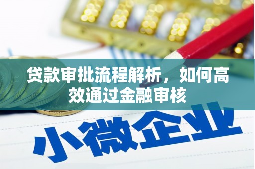 红星贷款审批流程解析，如何高效通过金融审核
