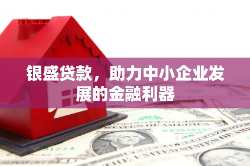 红星银盛贷款，助力中小企业发展的金融利器