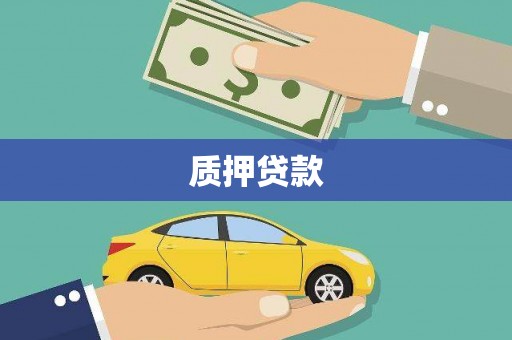 红星质押贷款