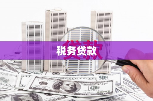 红星税务贷款