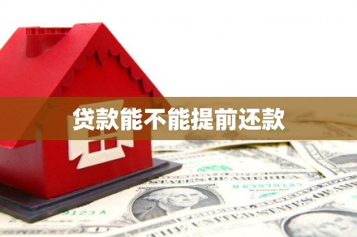 红星贷款能不能提前还款