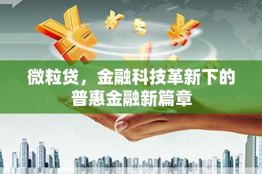 红星微粒贷，金融科技革新下的普惠金融新篇章