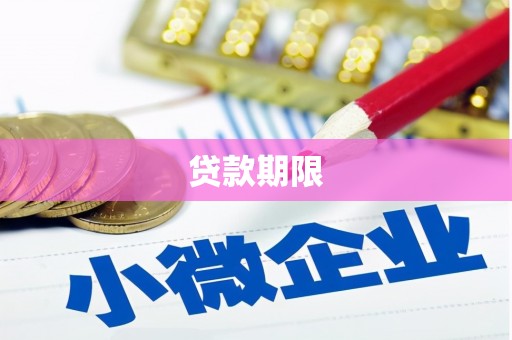 红星贷款期限
