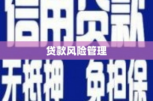红星贷款风险管理