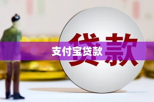 红星支付宝贷款