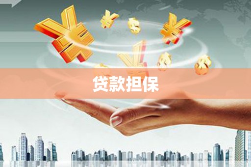红星贷款担保