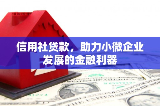 红星信用社贷款，助力小微企业发展的金融利器
