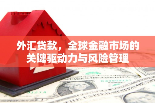 红星外汇贷款，全球金融市场的关键驱动力与风险管理