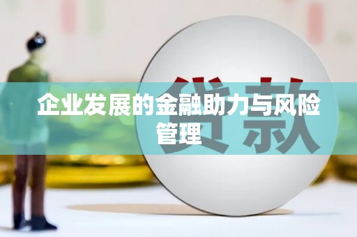 红星企业发展的金融助力与风险管理
