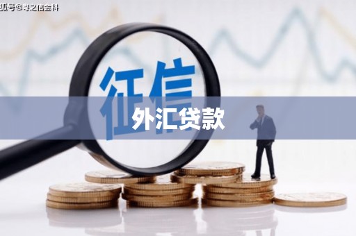 红星外汇贷款