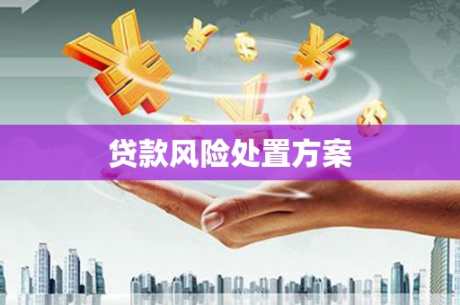 红星贷款风险处置方案