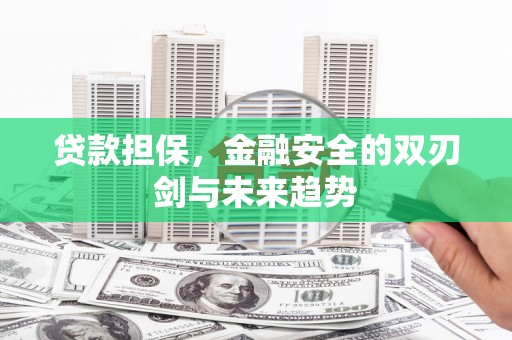 红星贷款担保，金融安全的双刃剑与未来趋势
