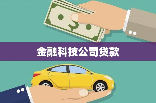 红星金融科技公司贷款